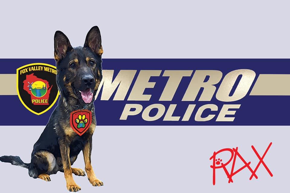 Metro K9 Foundation 